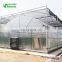 Low Price Plastic Film Greenhouse Equipment /Greenhouse Agriculture