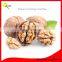 Factory direct supply nuts cracking machine / almond/walnut sheller machine on sale