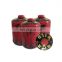 Hebei screw valve butane gas cartridge and butane gas 450g