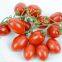 Hybrid Chinese factory supply plum red cherry tomato seeds for planting