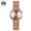 Hannah Martin CC36 Women Wristwatch Mesh Rose Gold Waterproof Women's Luxury Watches
