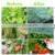 Factory direct selling plastic anti insect netting insect mesh for greenhouse farmland insect aphid net