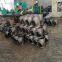 ASTM A234 WP11 ALLOY STEEL FITTINGS