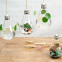 Home Decoration Hand-blown Hanging Mini Indoor Bulb Shaped Glass Plant Terrariums Vase