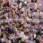garnet abrasive & water filtration inc