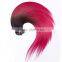 Ombre Colored Lace Full Head Russian Brazilian Indian Remy Human Clip in Hair Extensions