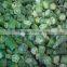 frozen whole okra