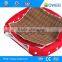 New arrival strawberry design fashion pet bed house for hot sale