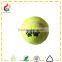 Pet dog tennis shape ball dog chew toy