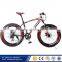 Mountain Bicycle Model X1