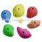 Kids Beginner Climbing Holds