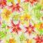 Hydrographic printing films/camouflage water transfer films