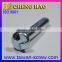 Taiwan Supplier One Way Security M5 Screw Zinc