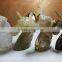 Natural Quartz Crystal Unicorn for Sale
