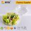 Transparent take away plastic salad box with lid
