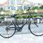 Man and women style city steel bicycle Road bicycle wholesale