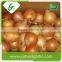 Crop Fresh Red Onion in Mesh Bag With Cheap Price