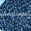 2015 IQF Frozen Blueberry Frozen Fruit Supplier