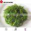 most delicious frozen seaweed salad 2016