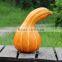 Artificial vegetables faux pumpkin fake fruit house kitchen decoration /Yiwu sanqi craft factory