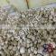 fresh white button mushrooms cultivation Low Price