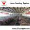 Pig House labor saving automatic augur feed system