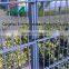 Hot Selling!!! Weft Ornamental Double Loop Wire Fence