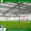 New arrival venlo structure shading polycarbonate greenhouse glass