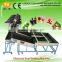 Fruit Washing and Waxing Machine