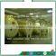 industrial food freeze drying fruit machine for sale