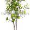 indoor Home garden decorative 250cm Height make artificial green live magnolia bonsai tree EXLYPZ06 0512