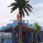 Outdoor UV resistance date palm tree for building decoration