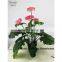 SAS201609 Indoor Artificial Foliage Plant,Green Plant Bonsai