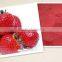 Hot sales Instant flavored fruits drinks powder