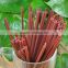 Disposable PP Coffee Stirrer for Coffee Shop