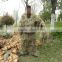 camo ghillie suit/desert hunting clothing/camouflage sniper ghillie suit