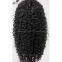 indian hair free shipping high quality jerry curl front lace wigs
