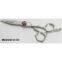 barber scissors