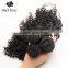 Black Rose Fast Shipping Human Hair Dubai, Virgin Brazilian Human Remy Hair Extensions