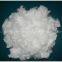 AAA grade 7d/15d hollow conjugated recycled polyester staple fiber(PSF) from China