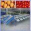 apple grading machine, mango sorting machine