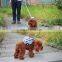 Pet Bag Backpack Travel Carrier For Dog Puppy Cats With Leash