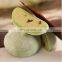 small daifuku rice cake frozen mochi ice cream encrusting machine