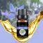 manufacturer supply carrier oil borage oil pure natural base oil borage seed oil with best price