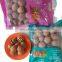 in india dry food xinjiang 185 walnut kenrel kasmiri washed walnut kernels walnuts usa without shell