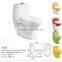 Washdown color one piece toilet bowl