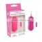 Both For Adult 10 Function Bullet Dong Vibrator and Clitoral Stimulation Sex Toys For People