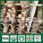 Shiitake Mushrooms 1kg,Wild Shiitake Mushrooms,Shiitake Mushroom Plugs