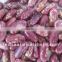 Purple light speckled kidney beans 2016
