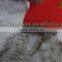 Promotional Pet Flea Nit Lice Comb Grooming